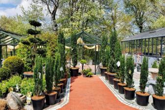 Baumschule mit Beratung und großer Auswahl an heimischen Pflanzen im Schaugarten in Pöndorf