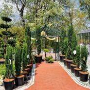 Baumschule mit Beratung und großer Auswahl an heimischen Pflanzen im Schaugarten in Pöndorf