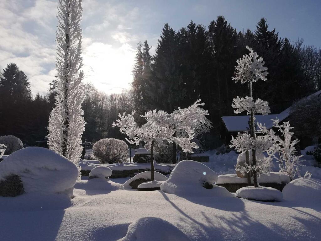 Schneekristalle auf Bäumen und sträuchern glitzern in der Sonne