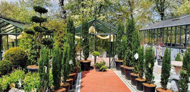 Baumschule mit Beratung und großer Auswahl an heimischen Pflanzen im Schaugarten in Pöndorf