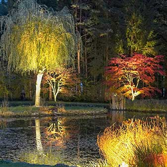 Indirekte Beleuchtung inszeniert Garten und Teich bei Nacht